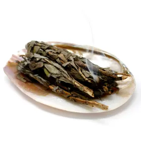 Abalone shell smudge dish - small