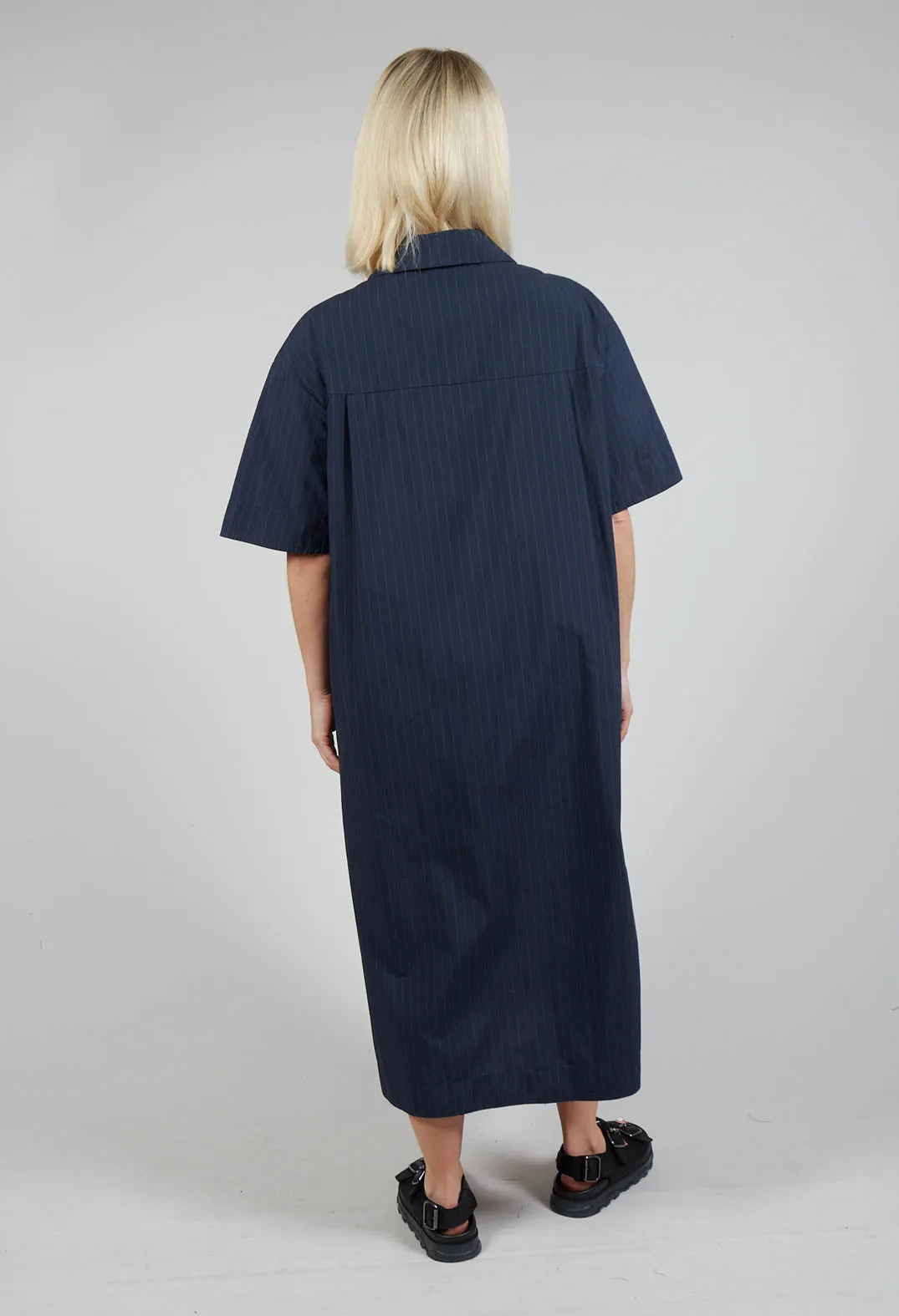 Shirt Dress in Navy Stripe