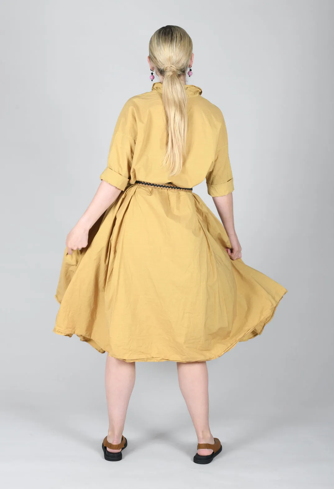 Tailored Collar Dress TC in Sun Yellow